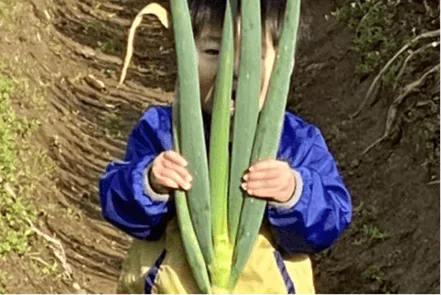 とろり葱
