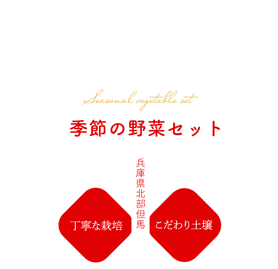 季節の野菜セット