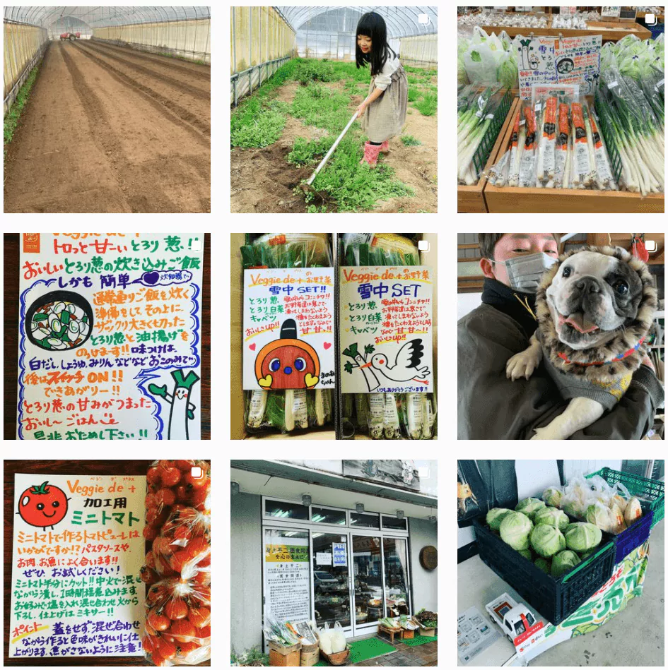 Veggie de+ インスタグラム